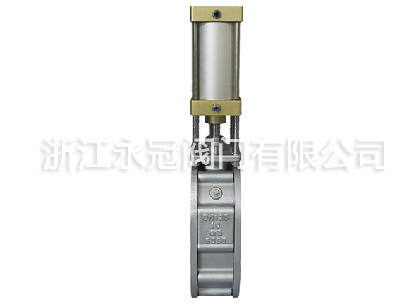 不鏽鋼陶瓷雙閘板閥